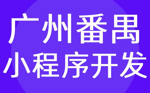 廣州番禺區系統開發 微信小程序制作定制 外包 紅匣子科技