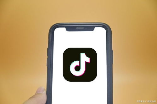 深度抖音小程序定制開發(fā)與SCM軟件系統(tǒng)定制開發(fā) 打造獨(dú)一無二的用戶體驗與供應(yīng)鏈管理效能